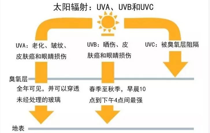 口罩的作用